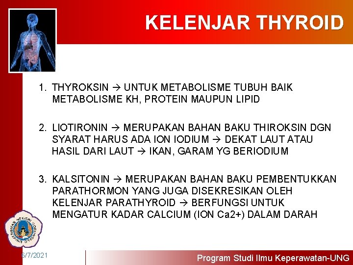 KELENJAR THYROID 1. THYROKSIN UNTUK METABOLISME TUBUH BAIK METABOLISME KH, PROTEIN MAUPUN LIPID 2.
