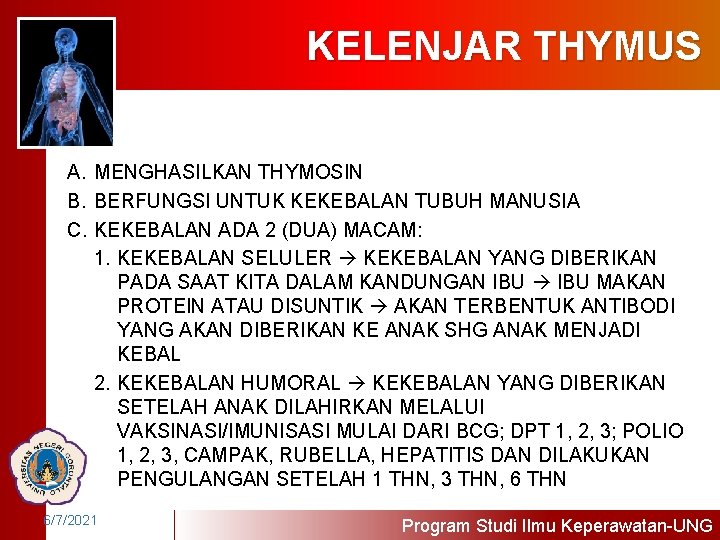 KELENJAR THYMUS A. MENGHASILKAN THYMOSIN B. BERFUNGSI UNTUK KEKEBALAN TUBUH MANUSIA C. KEKEBALAN ADA