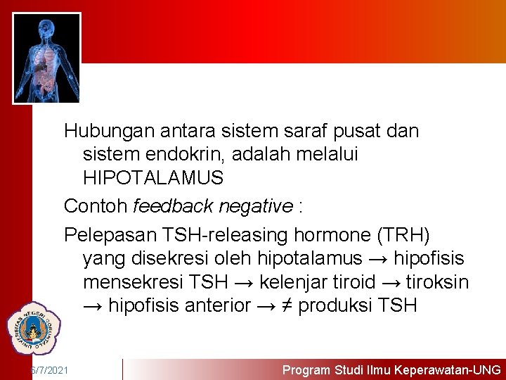 Hubungan antara sistem saraf pusat dan sistem endokrin, adalah melalui HIPOTALAMUS Contoh feedback negative