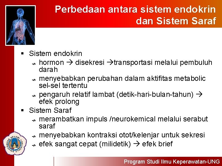 Perbedaan antara sistem endokrin dan Sistem Saraf § Sistem endokrin hormon disekresi transportasi melalui