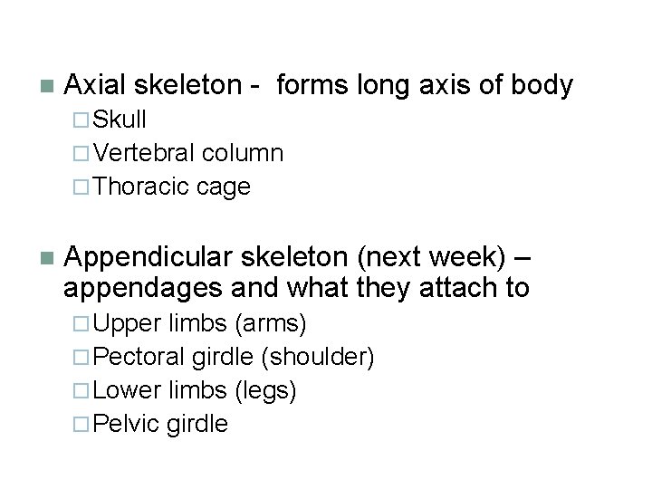 n Axial skeleton - forms long axis of body ¨ Skull ¨ Vertebral column