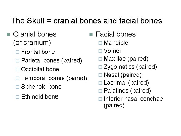 The Skull = cranial bones and facial bones n Cranial bones (or cranium) ¨