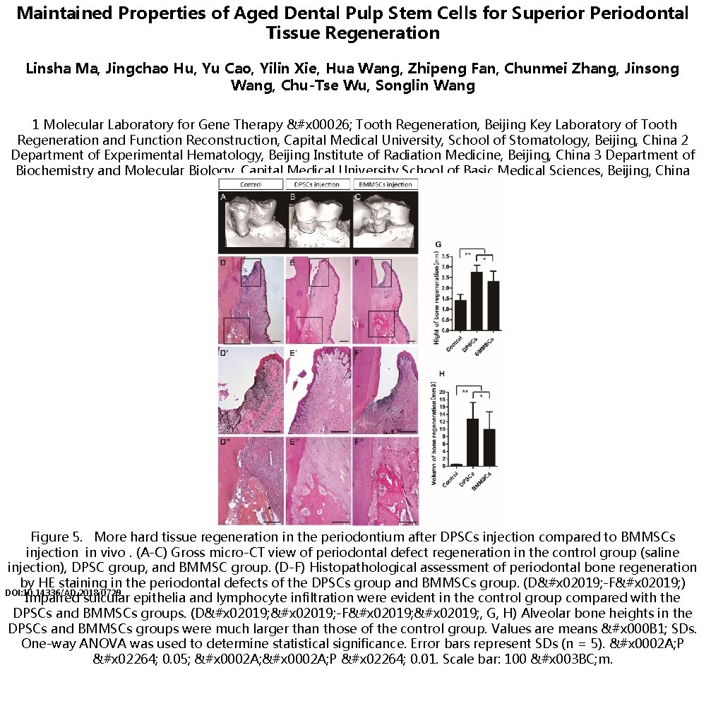 Maintained Properties of Aged Dental Pulp Stem Cells for Superior Periodontal Tissue Regeneration Linsha