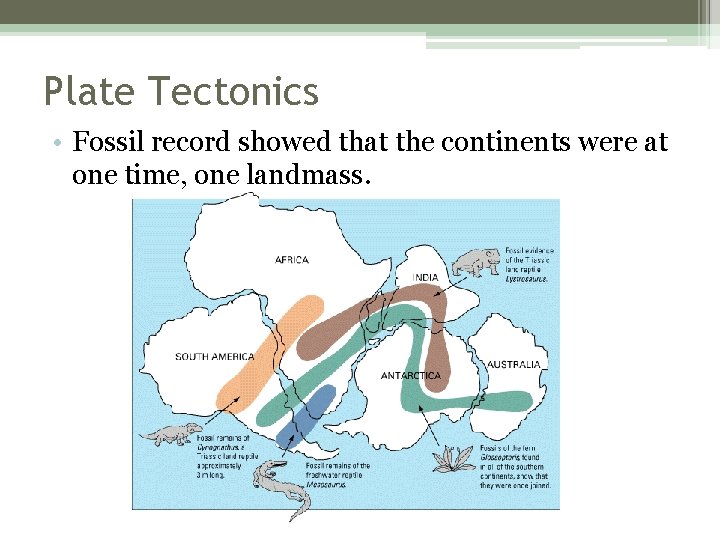 Plate Tectonics • Fossil record showed that the continents were at one time, one