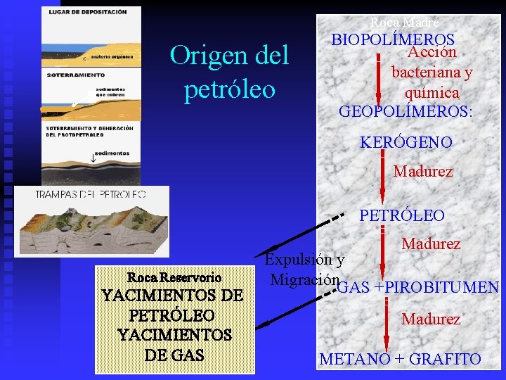 Roca Madre Origen del petróleo BIOPOLÍMEROS Acción bacteriana y química GEOPOLÍMEROS: KERÓGENO Madurez PETRÓLEO