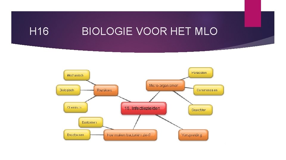 H 16 BIOLOGIE VOOR HET MLO 