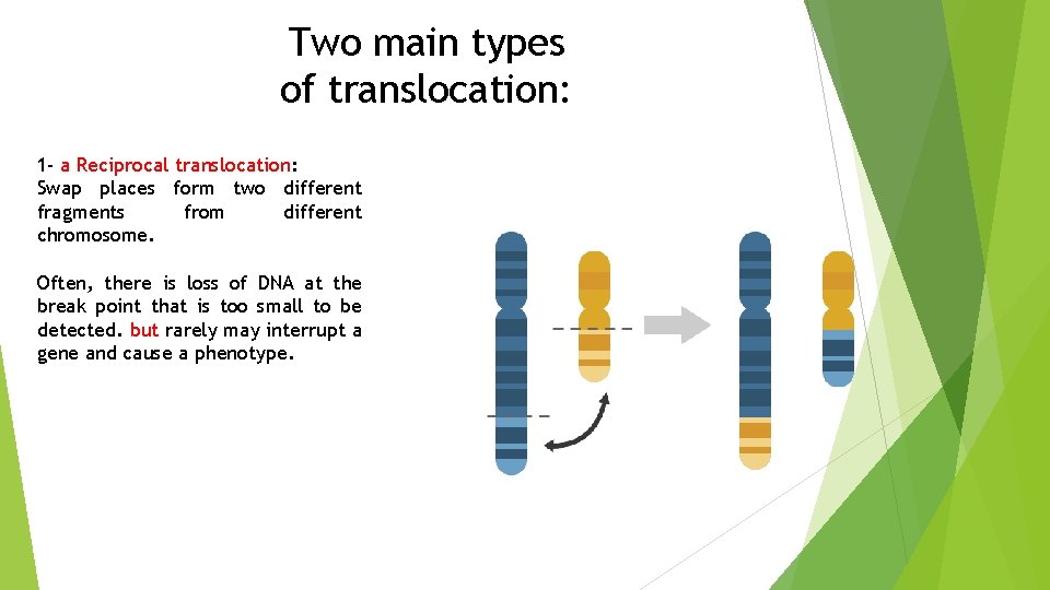 Two main types of translocation: 1 - a Reciprocal translocation: Swap places form two