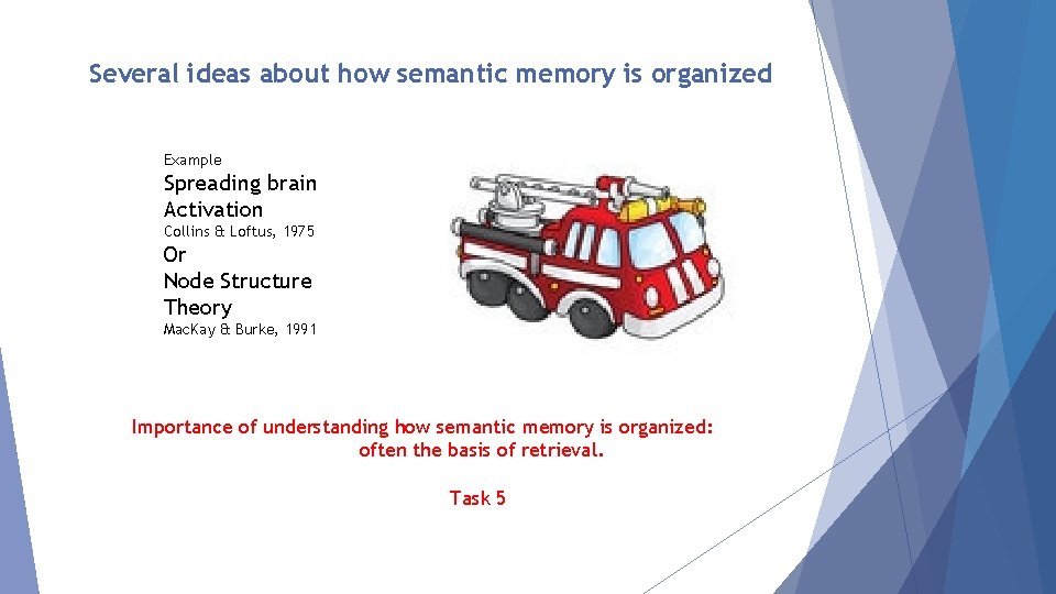 Several ideas about how semantic memory is organized Example Spreading brain Activation Collins &