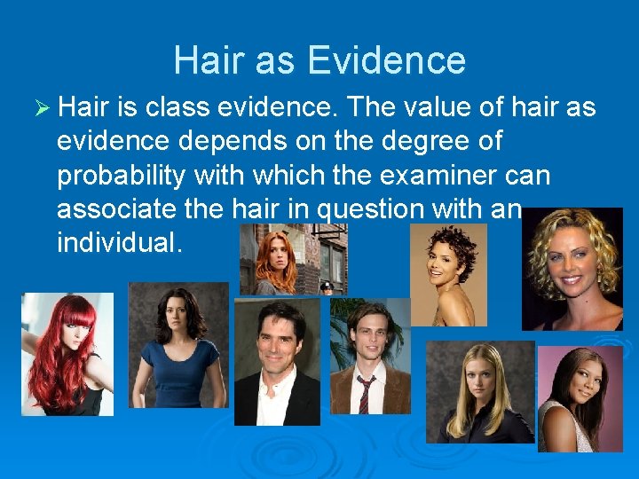 Hair as Evidence Ø Hair is class evidence. The value of hair as evidence