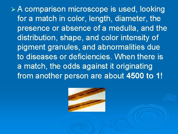 Ø A comparison microscope is used, looking for a match in color, length, diameter,