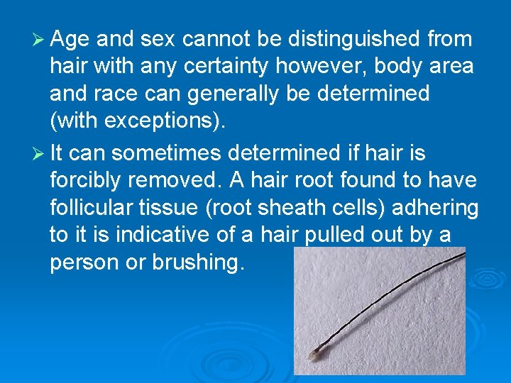 Ø Age and sex cannot be distinguished from hair with any certainty however, body