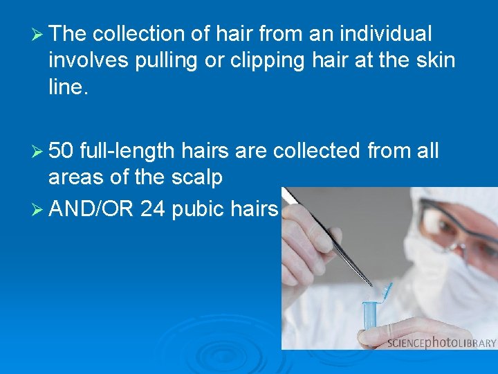 Ø The collection of hair from an individual involves pulling or clipping hair at