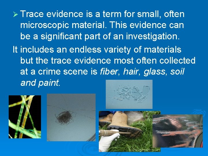 Ø Trace evidence is a term for small, often microscopic material. This evidence can