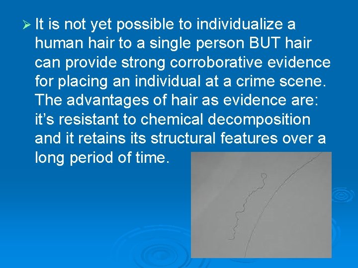 Ø It is not yet possible to individualize a human hair to a single