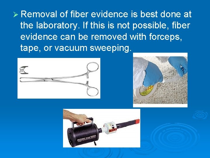 Ø Removal of fiber evidence is best done at the laboratory. If this is
