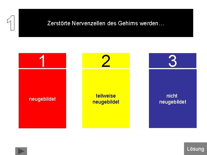 Zerstörte Nervenzellen des Gehirns werden… 1 2 3 neugebildet teilweise neugebildet nicht neugebildet Lösung