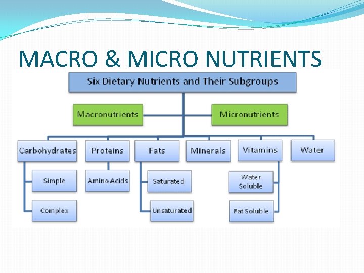 MACRO & MICRO NUTRIENTS 