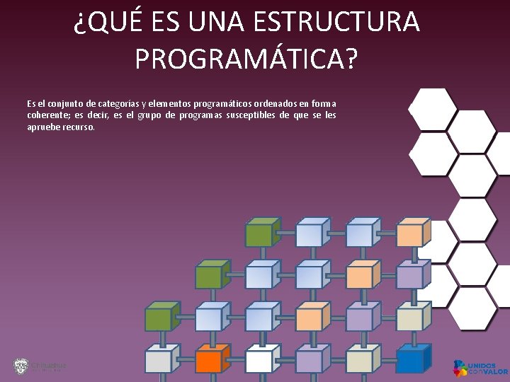 ¿QUÉ ES UNA ESTRUCTURA PROGRAMÁTICA? Es el conjunto de categorías y elementos programáticos ordenados