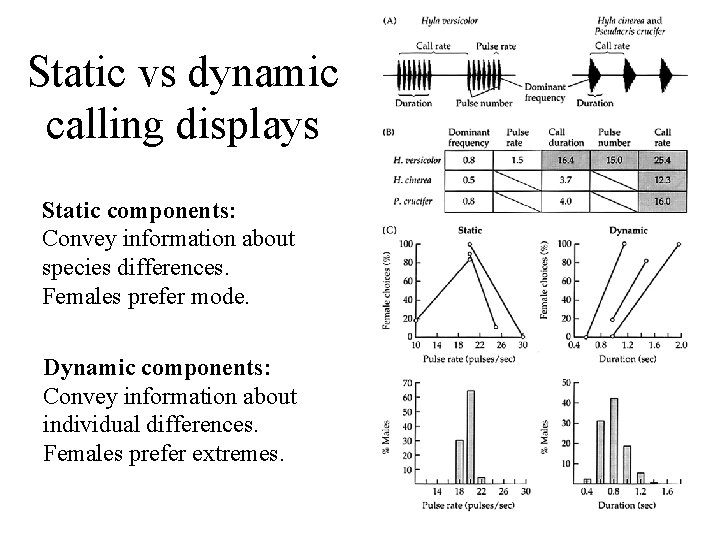 Static vs dynamic calling displays Static components: Convey information about species differences. Females prefer Static vs dynamic calling displays Static components: Convey information about species differences. Females prefer