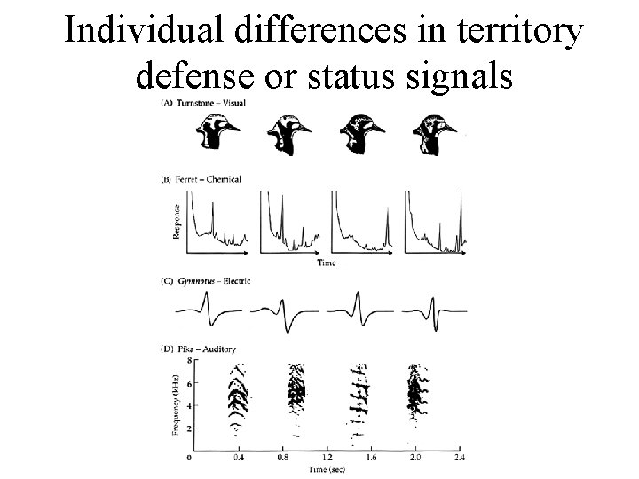 Individual differences in territory defense or status signals Individual differences in territory defense or status signals