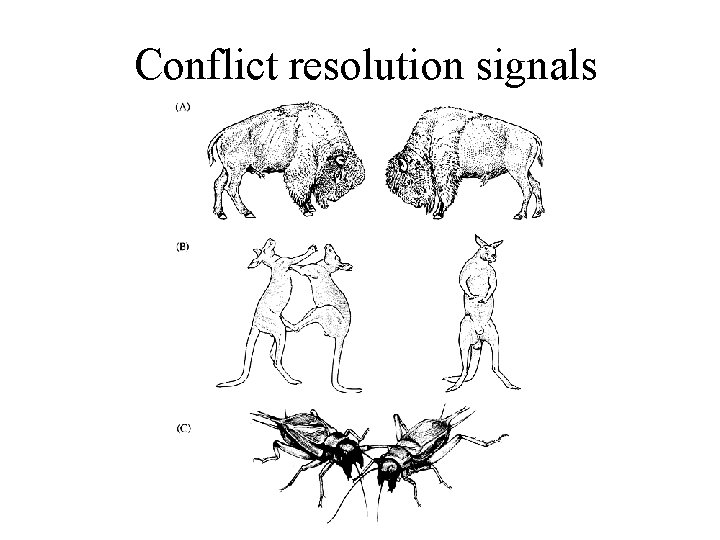 Conflict resolution signals Conflict resolution signals