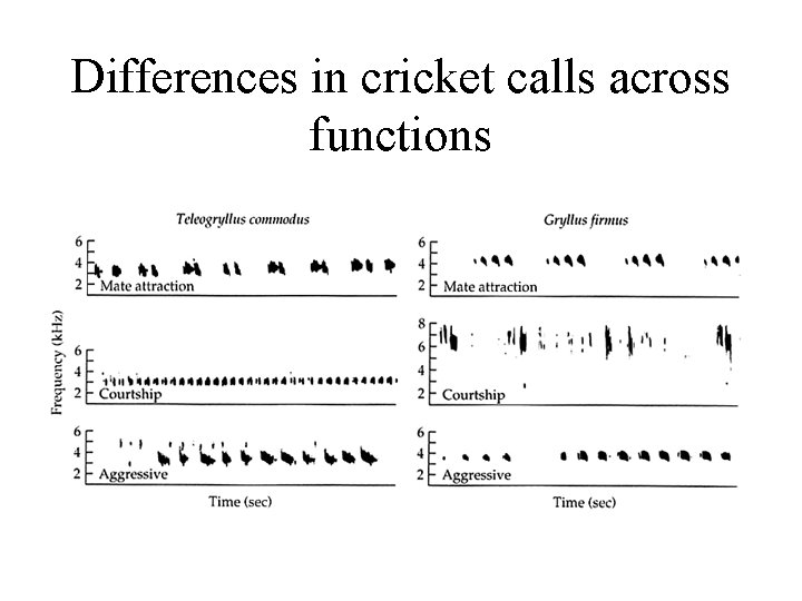Differences in cricket calls across functions Differences in cricket calls across functions