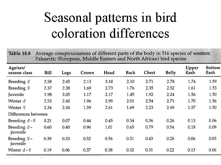 Seasonal patterns in bird coloration differences Seasonal patterns in bird coloration differences