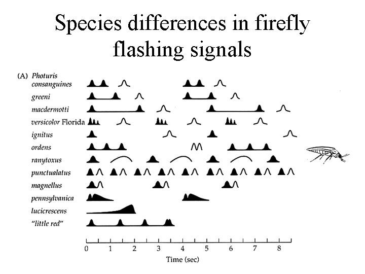 Species differences in firefly flashing signals Species differences in firefly flashing signals