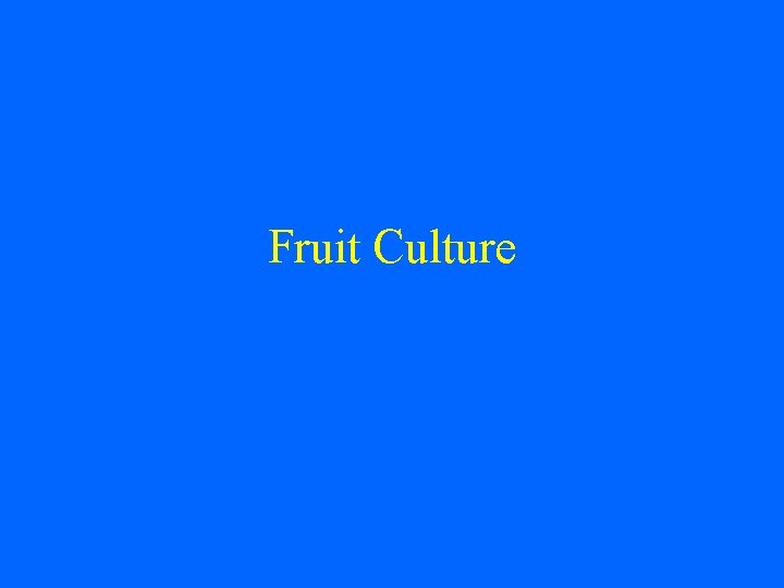 Fruit Culture 