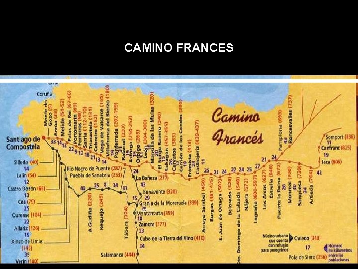 CAMINO FRANCES 