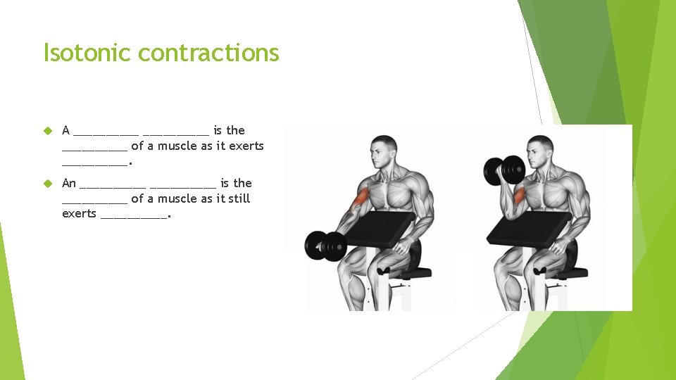 Isotonic contractions A __________ is the _____ of a muscle as it exerts _____.