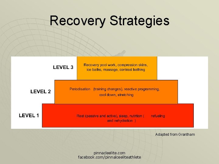 Recovery Strategies Adapted from Grantham pinnacleelite. com facebook. com/pinnalceeliteathlete 