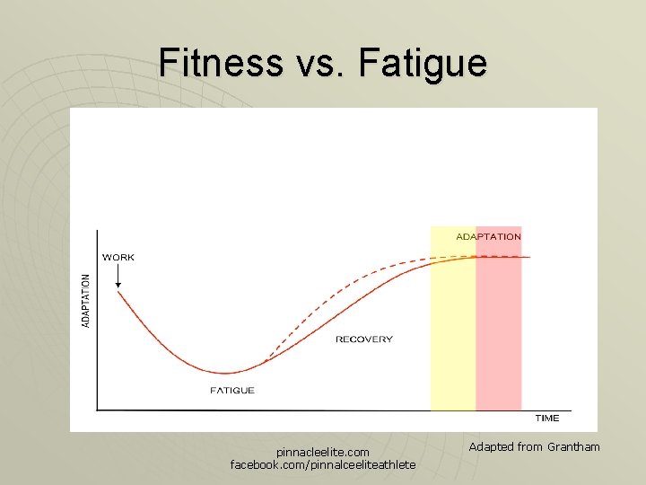 Fitness vs. Fatigue pinnacleelite. com facebook. com/pinnalceeliteathlete Adapted from Grantham 