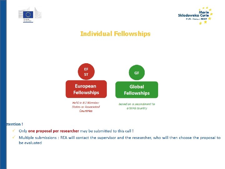 Individual Fellowships 