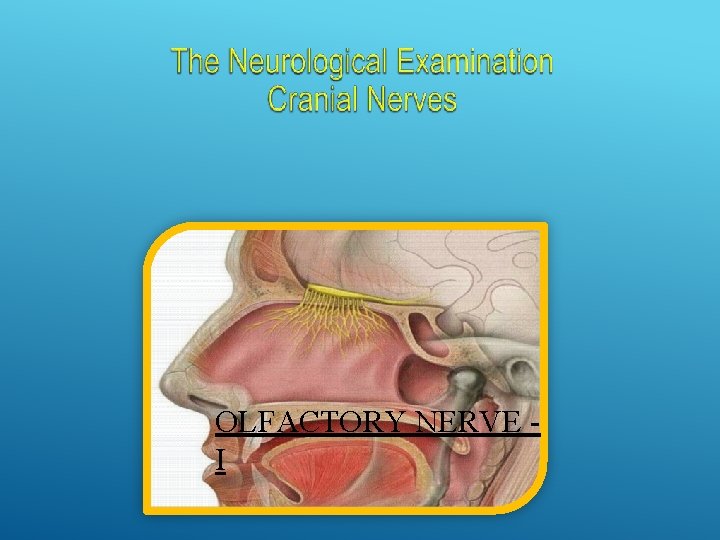 OLFACTORY NERVE I 