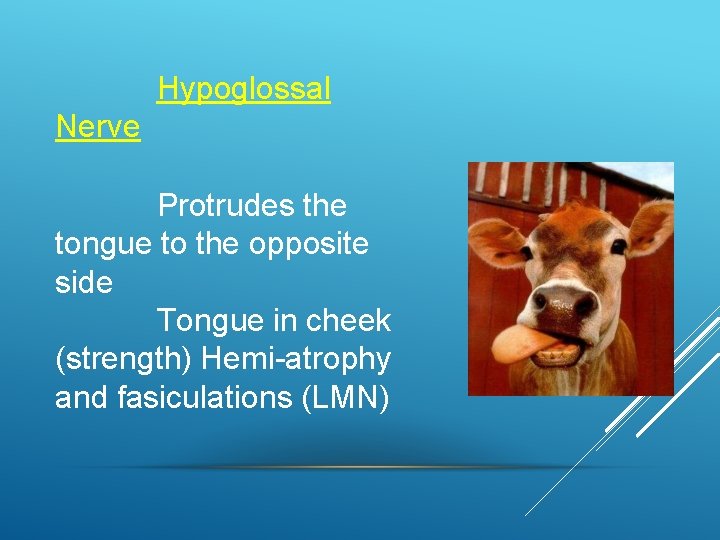 Hypoglossal Nerve Protrudes the tongue to the opposite side Tongue in cheek (strength) Hemi-atrophy