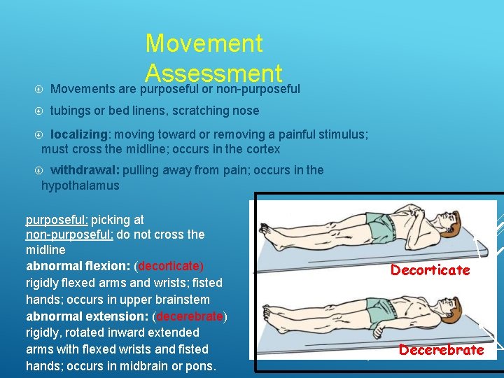 Movement Assessment Movements are purposeful or non-purposeful tubings or bed linens, scratching nose localizing: