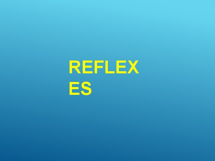 REFLEX ES 