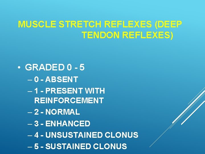MUSCLE STRETCH REFLEXES (DEEP TENDON REFLEXES) • GRADED 0 - 5 – 0 -