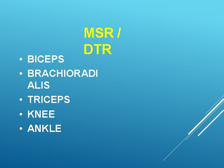 MSR / DTR • BICEPS • BRACHIORADI ALIS • TRICEPS • KNEE • ANKLE