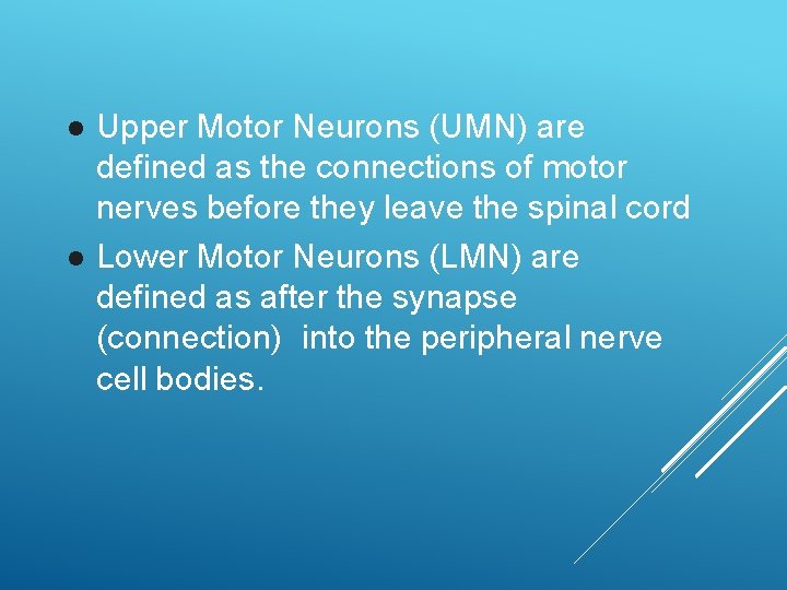  Upper Motor Neurons (UMN) are defined as the connections of motor nerves before