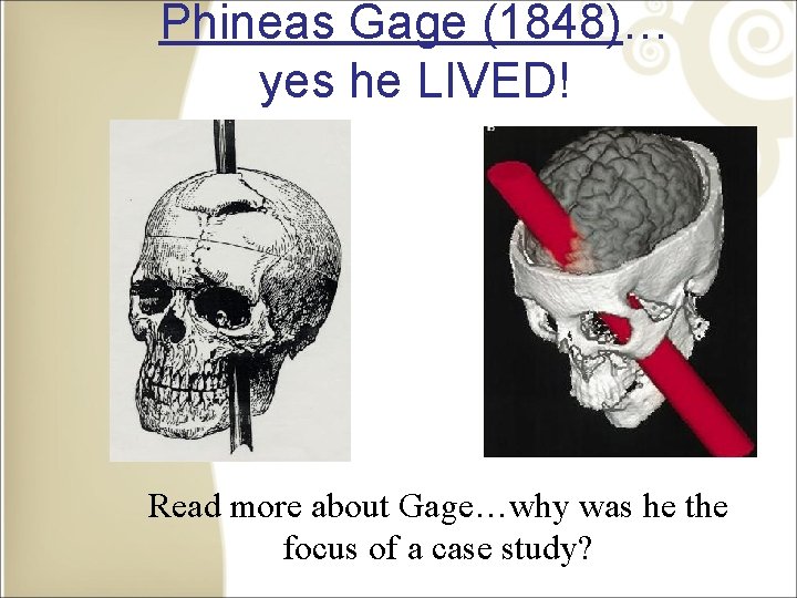 Phineas Gage (1848)… yes he LIVED! Read more about Gage…why was he the focus