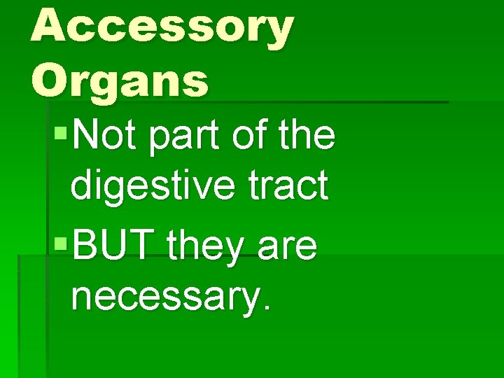 Accessory Organs §Not part of the digestive tract §BUT they are necessary. 