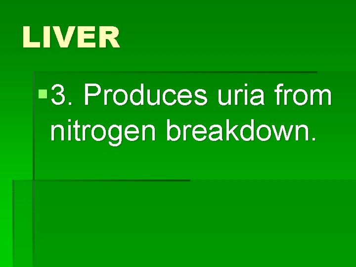 LIVER § 3. Produces uria from nitrogen breakdown. 