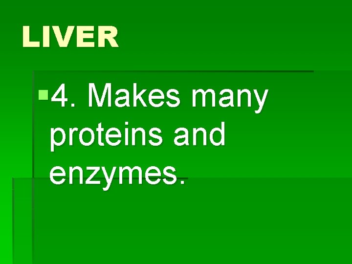LIVER § 4. Makes many proteins and enzymes. 