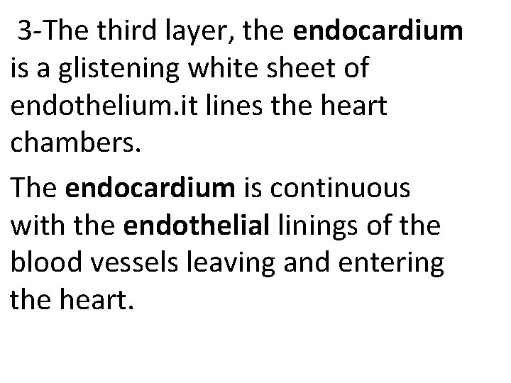 3 -The third layer, the endocardium is a glistening white sheet of endothelium. it