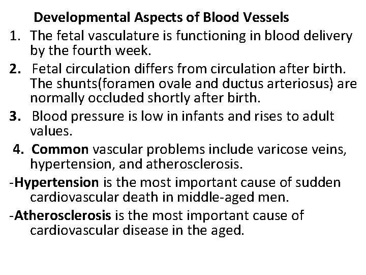 Developmental Aspects of Blood Vessels 1. The fetal vasculature is functioning in blood delivery