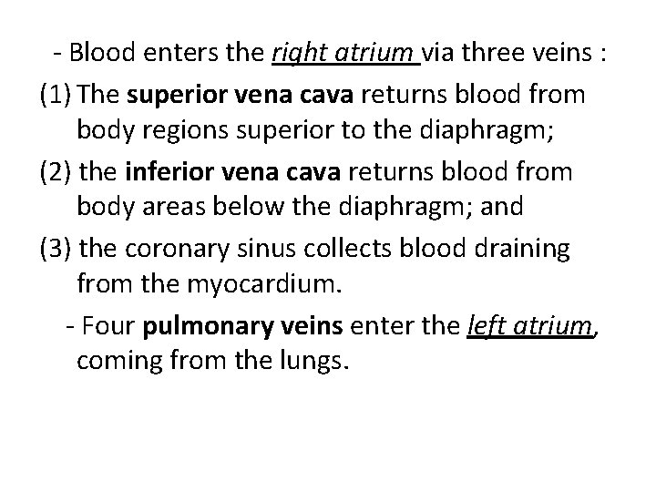 - Blood enters the right atrium via three veins : (1) The superior vena