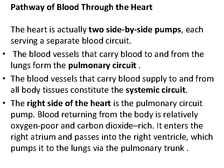 Pathway of Blood Through the Heart The heart is actually two side-by-side pumps, each