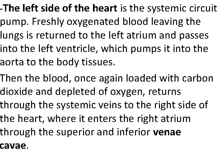 -The left side of the heart is the systemic circuit pump. Freshly oxygenated blood